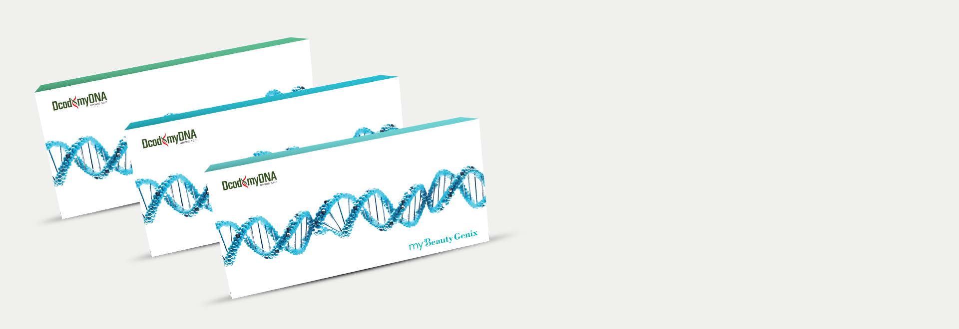 Curious About Your Health Risks?